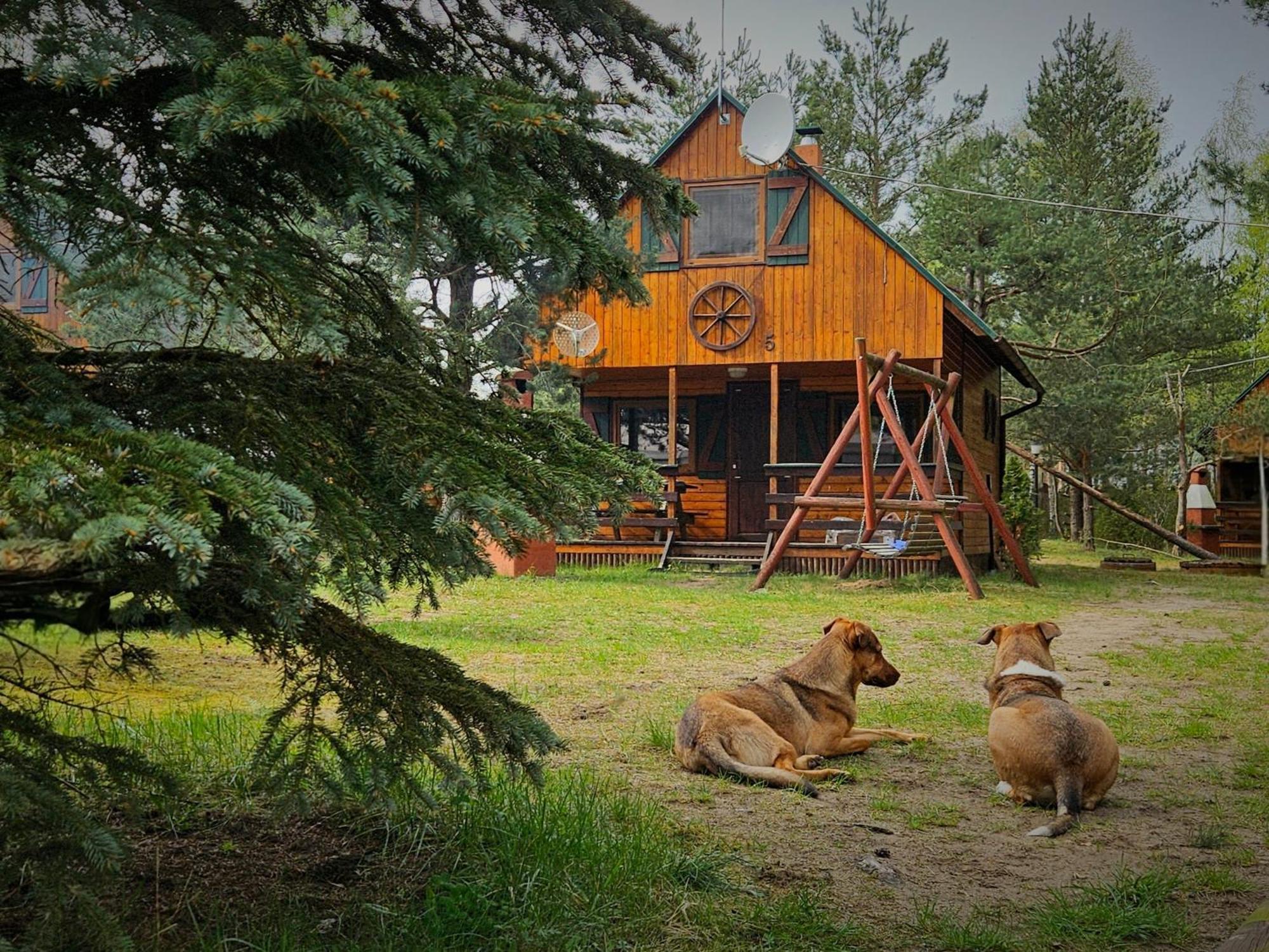 Ferienhaus Osada Nad Wda W Borsku *